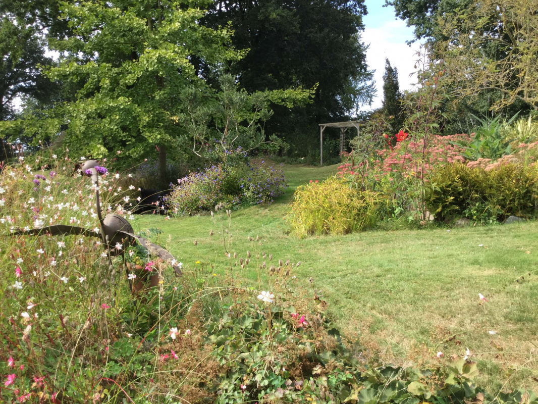 AMéNAGEMENT D'UN PETIT JARDIN AVEC UNE FONTAINE VANNES - 3D Paysage