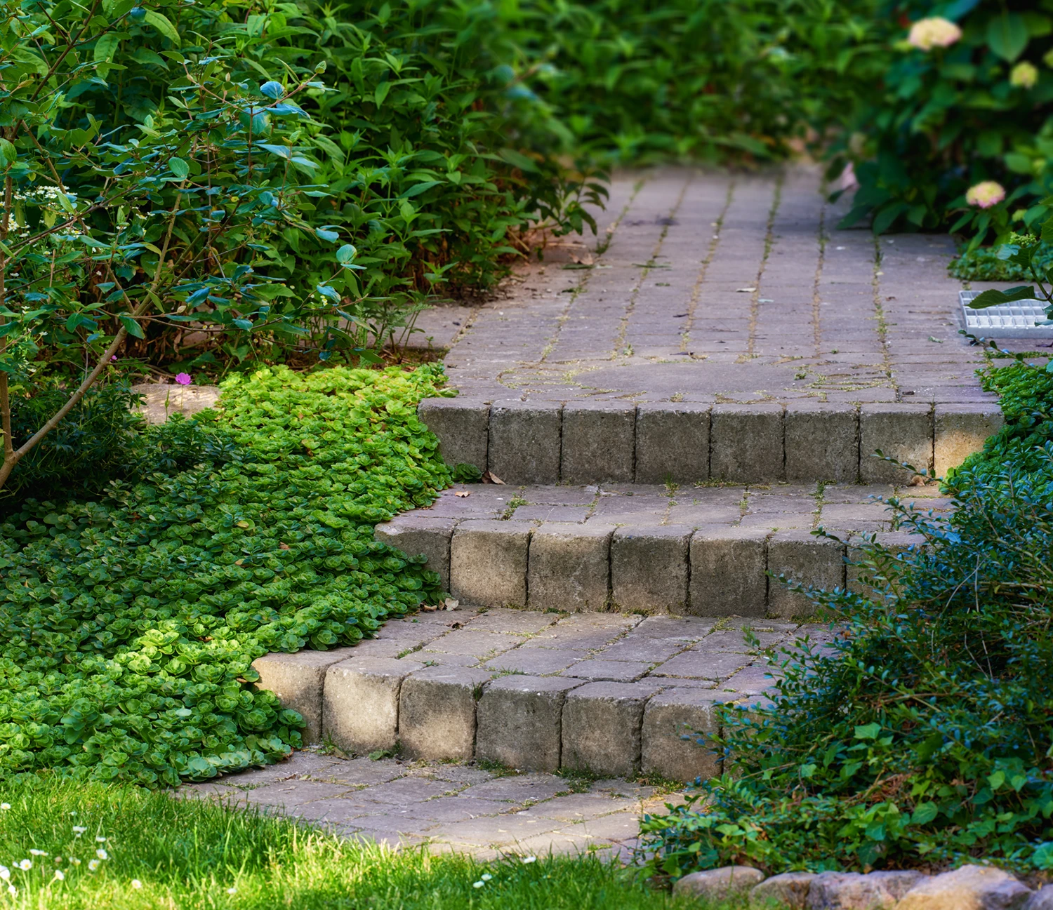 escalier-paysager-2